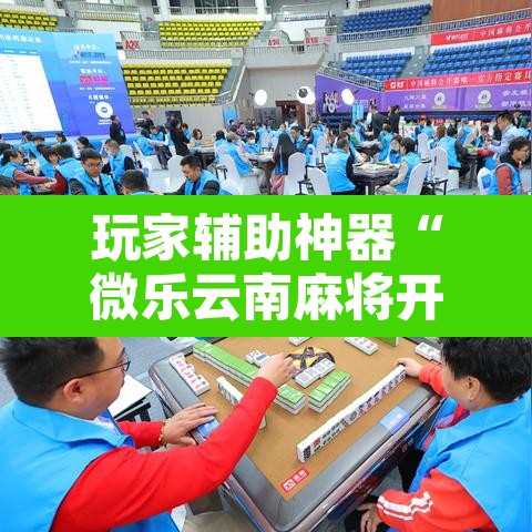 玩家辅助神器“微乐云南麻将开挂教程”其实确实有挂