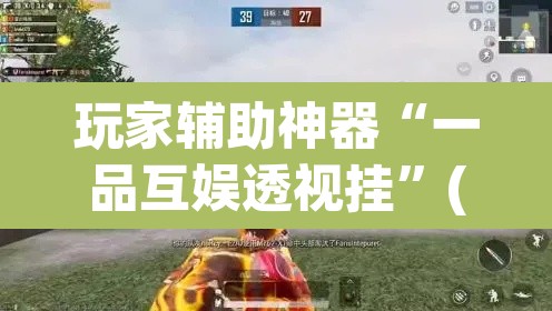 玩家辅助神器“一品互娱透视挂	”(透视挂)辅助透视教程