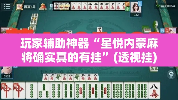 玩家辅助神器“星悦内蒙麻将确实真的有挂”(透视挂)辅助透视教程