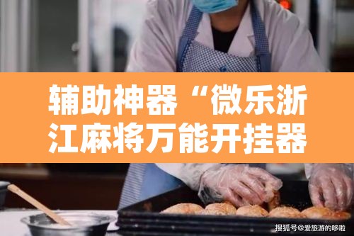 辅助神器“微乐浙江麻将万能开挂器通用版”其实确实有挂