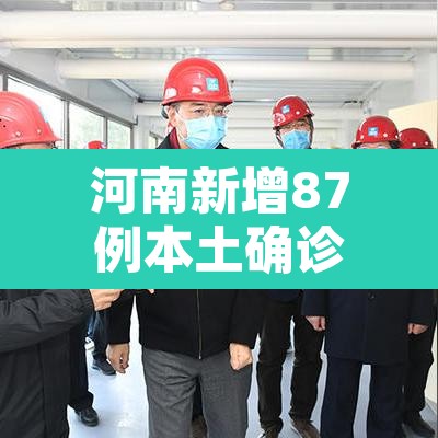 河南新增87例本土确诊病例—（河南新增87例本土确诊病例分布）