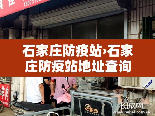 石家庄防疫站›石家庄防疫站地址查询