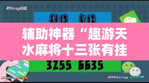辅助神器“趣游天水麻将十三张有挂吗	”(透视挂)辅助透视教程