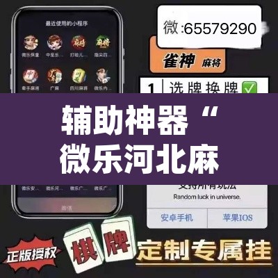 辅助神器“微乐河北麻将开挂下载”(透视)其实确实有挂