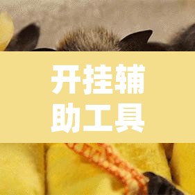 开挂辅助工具“有间麻将馆有没有挂	”(透视)其实确实有挂