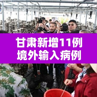 甘肃新增11例境外输入病例›甘肃新增11例境外输入病例多少