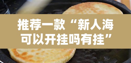 推荐一款“新人海可以开挂吗有挂”(透视挂)辅助透视教程