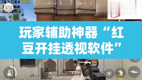 玩家辅助神器“红豆开挂透视软件	”(透视)其实确实有挂