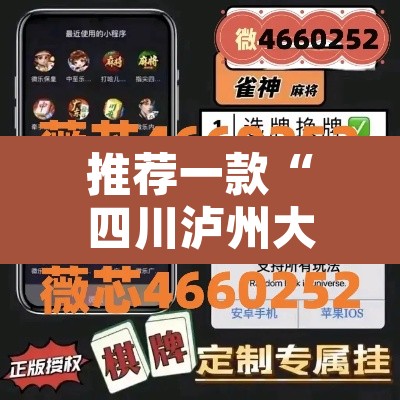 推荐一款“四川泸州大贰四海茶馆透视挂”附辅助神器开挂脚本详细步骤