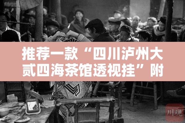 推荐一款“四川泸州大贰四海茶馆透视挂”附辅助神器开挂脚本详细步骤