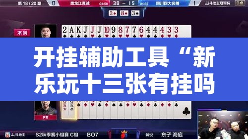 开挂辅助工具“新乐玩十三张有挂吗”其实确实有挂