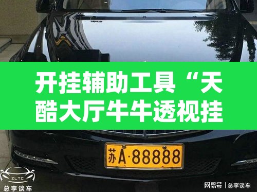 开挂辅助工具“天酷大厅牛牛透视挂软件	”(透视挂)辅助透视教程