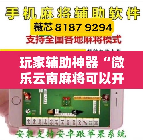 玩家辅助神器“微乐云南麻将可以开挂吗”(透视挂)辅助透视教程