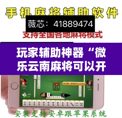 玩家辅助神器“微乐云南麻将可以开挂吗	”(透视挂)辅助透视教程