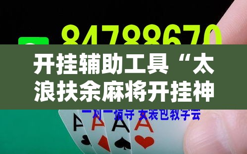 开挂辅助工具“太浪扶余麻将开挂神器”(透视)其实确实有挂
