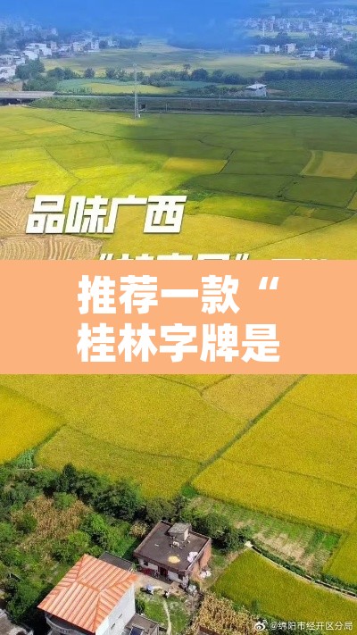 推荐一款“桂林字牌是不是有挂”其实确实有挂