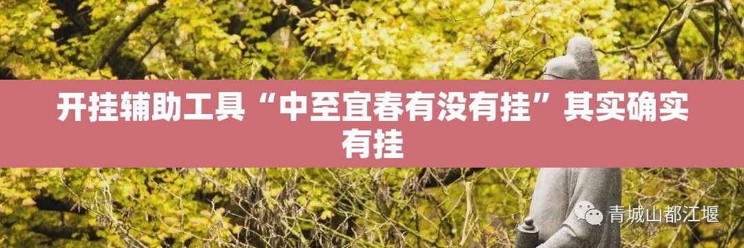 开挂辅助工具“中至宜春有没有挂	”其实确实有挂