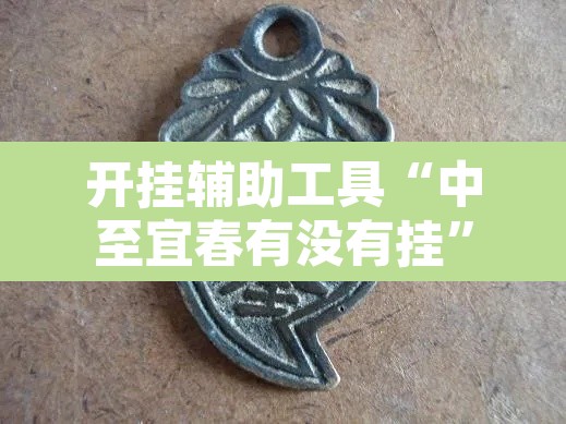 开挂辅助工具“中至宜春有没有挂”其实确实有挂