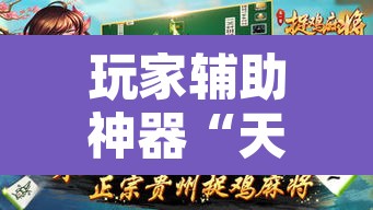 玩家辅助神器“天天贵阳麻将可以开挂吗”其实确实有挂