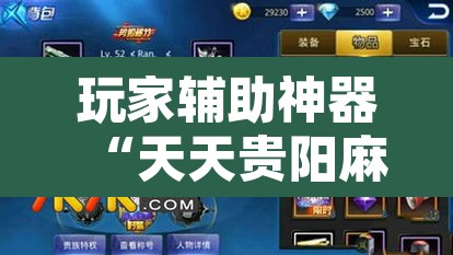 玩家辅助神器“天天贵阳麻将可以开挂吗	”其实确实有挂