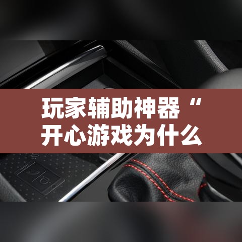 玩家辅助神器“开心游戏为什么一直输	”其实确实有挂