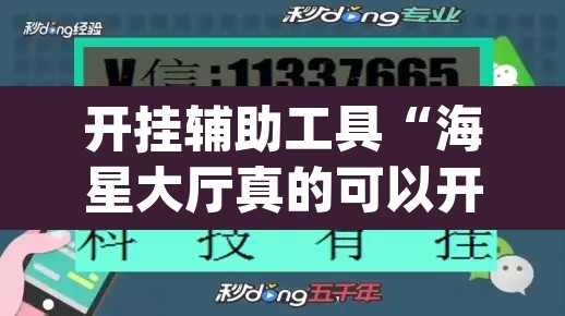开挂辅助工具“海星大厅真的可以开挂吗”(透视挂)辅助透视教程