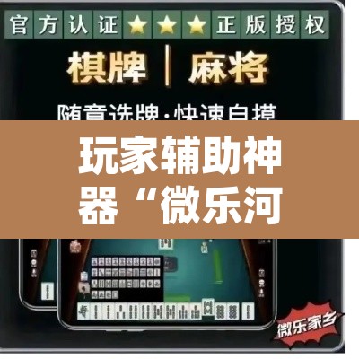 玩家辅助神器“微乐河北麻将万能开挂器通用版”(透视)其实确实有挂