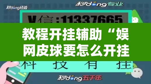 教程开挂辅助“娱网皮球要怎么开挂”(透视挂)辅助透视教程