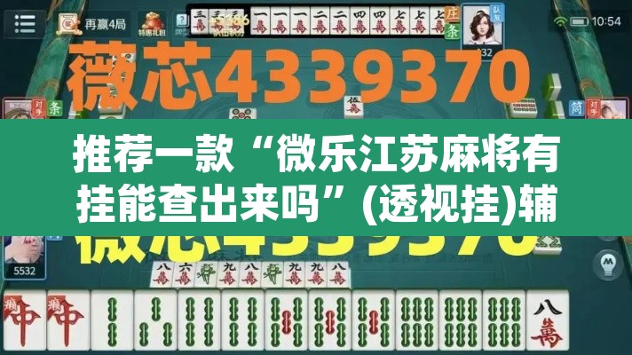推荐一款“微乐江苏麻将有挂能查出来吗	”(透视挂)辅助透视教程