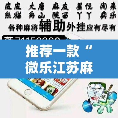 推荐一款“微乐江苏麻将有挂能查出来吗”(透视挂)辅助透视教程