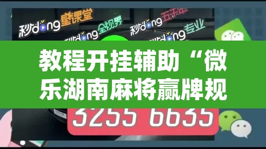 教程开挂辅助“微乐湖南麻将赢牌规律是啥	”(透视挂)辅助透视教程