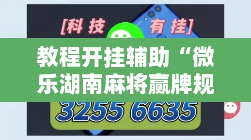 教程开挂辅助“微乐湖南麻将赢牌规律是啥”(透视挂)辅助透视教程