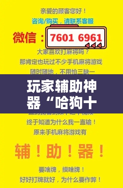 玩家辅助神器“哈狗十三道开挂辅助软件 ”其实确实有挂