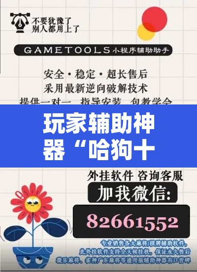 玩家辅助神器“哈狗十三道开挂辅助软件 ”其实确实有挂