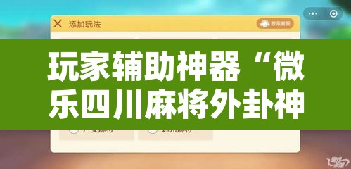 玩家辅助神器“微乐四川麻将外卦神器下载”开挂辅助脚本+详细开挂安装教程
