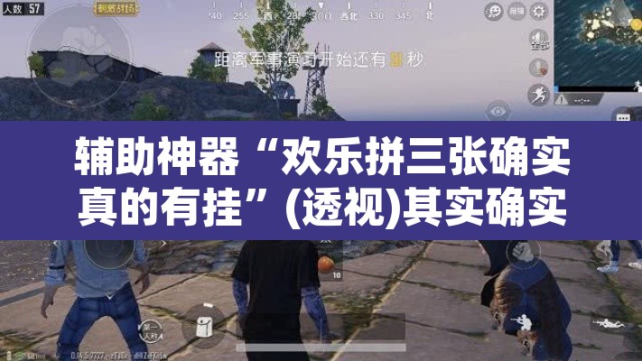 辅助神器“欢乐拼三张确实真的有挂”(透视)其实确实有挂