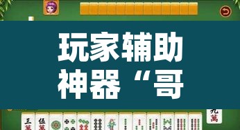 玩家辅助神器“哥哥杭州麻将免费开挂器”其实确实有挂