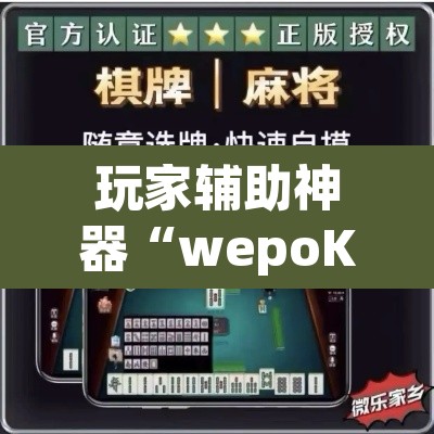 玩家辅助神器“wepoKER德州局透视外挂辅助”附辅助神器开挂脚本详细步骤