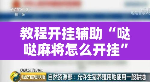 教程开挂辅助“哒哒麻将怎么开挂	”开挂辅助脚本+详细开挂安装教程