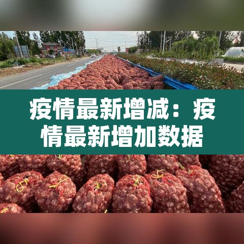 疫情最新增减：疫情最新增加数据消息