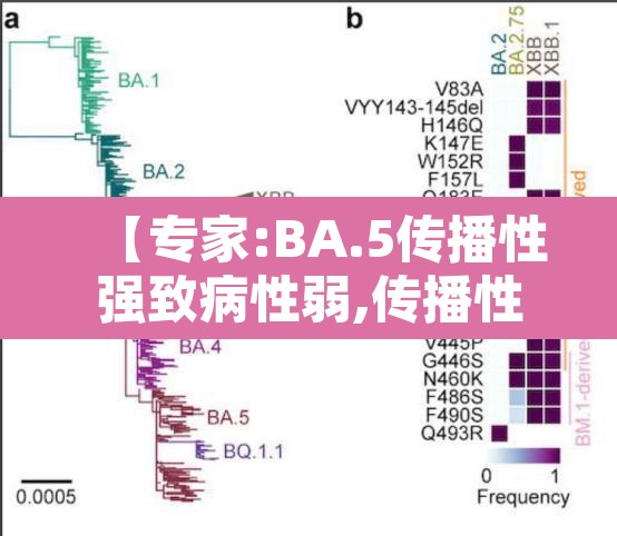 【专家:BA.5传播性强致病性弱,传播性强什么意思】