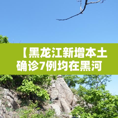 【黑龙江新增本土确诊7例均在黑河·黑龙江新增本土确诊8例!】