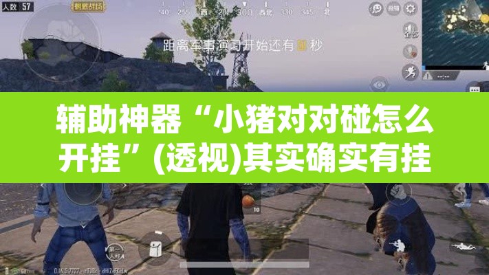 辅助神器“小猪对对碰怎么开挂”(透视)其实确实有挂