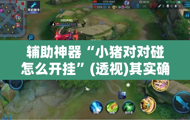 辅助神器“小猪对对碰怎么开挂”(透视)其实确实有挂