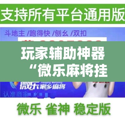 玩家辅助神器“微乐麻将挂先试用后付款”(透视)其实确实有挂