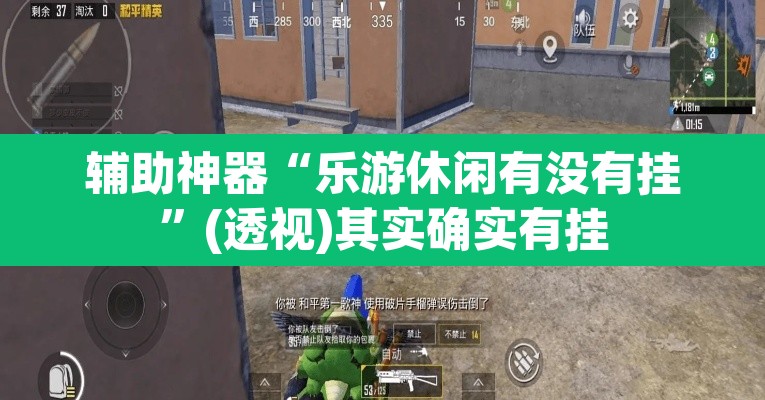 辅助神器“乐游休闲有没有挂”(透视)其实确实有挂