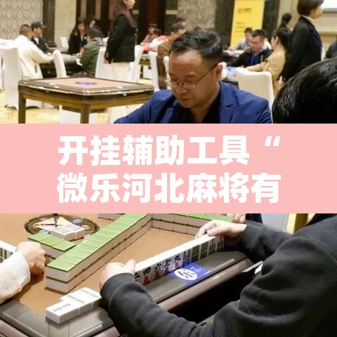 开挂辅助工具“微乐河北麻将有挂吗”其实确实有挂