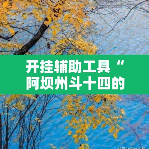 开挂辅助工具“阿坝州斗十四的确可以开挂	”其实确实有挂