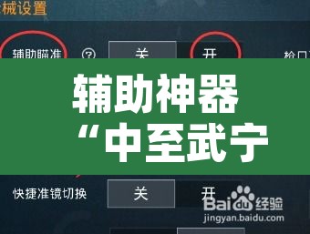 辅助神器“中至武宁双扣开挂神器	”开挂辅助脚本+详细开挂安装教程