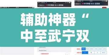 辅助神器“中至武宁双扣开挂神器”开挂辅助脚本+详细开挂安装教程